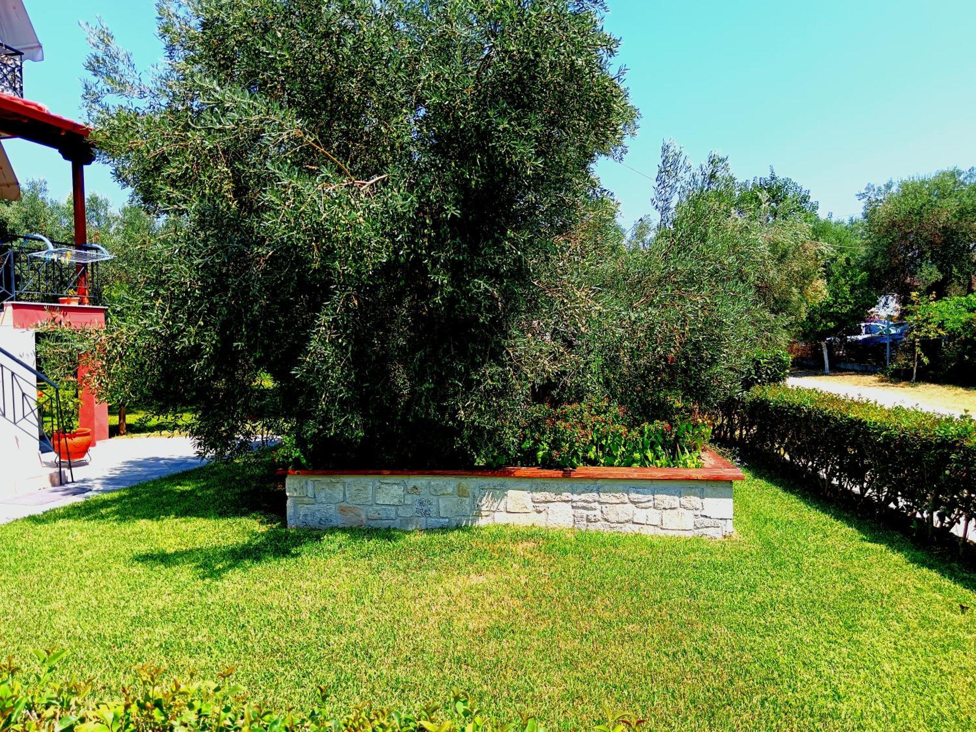 Giorgos Apartments. Skala Fourkas Exterior photo